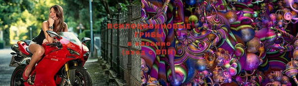 СК Осинники