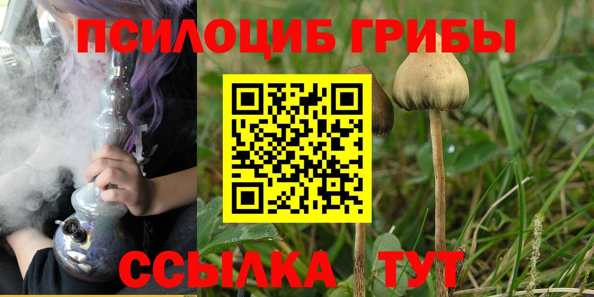 Псилоцибиновые грибы Psilocybe  Вход с VPN  Галлюциногенные грибы Psilocybine cubensis  Карасук 